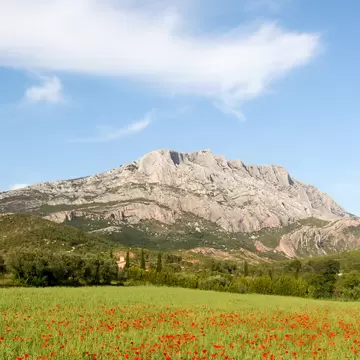 Mount Sainte Victoire and poppies in Provence, France.