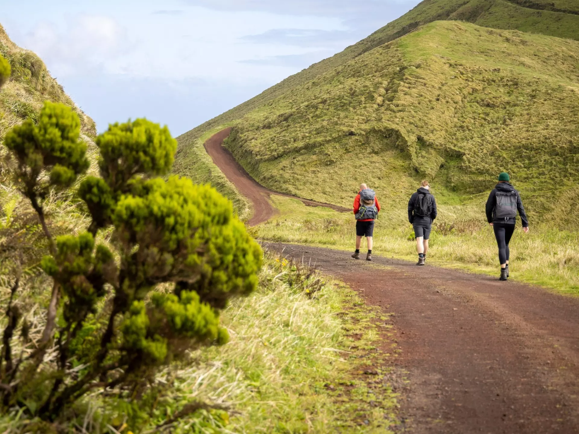 Group of hikers in the central highlands of São Jorge island, Azores, License Type: media, Download Time: 2025-02-20T19:30:22.000Z, User: rhylton_redventures, Editorial: false, purchase_order: 65030 - Newsletter, job: Lonely Planet WIP, client:  Lonely Planet WIP, other: Rhianydd Hylton