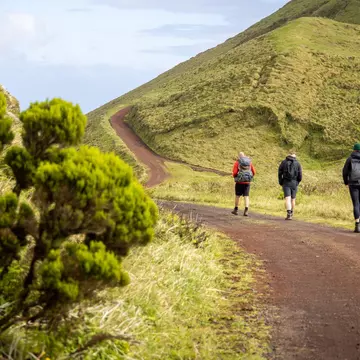 Group of hikers in the central highlands of São Jorge island, Azores, License Type: media, Download Time: 2025-02-20T19:30:22.000Z, User: rhylton_redventures, Editorial: false, purchase_order: 65030 - Newsletter, job: Lonely Planet WIP, client:  Lonely Planet WIP, other: Rhianydd Hylton