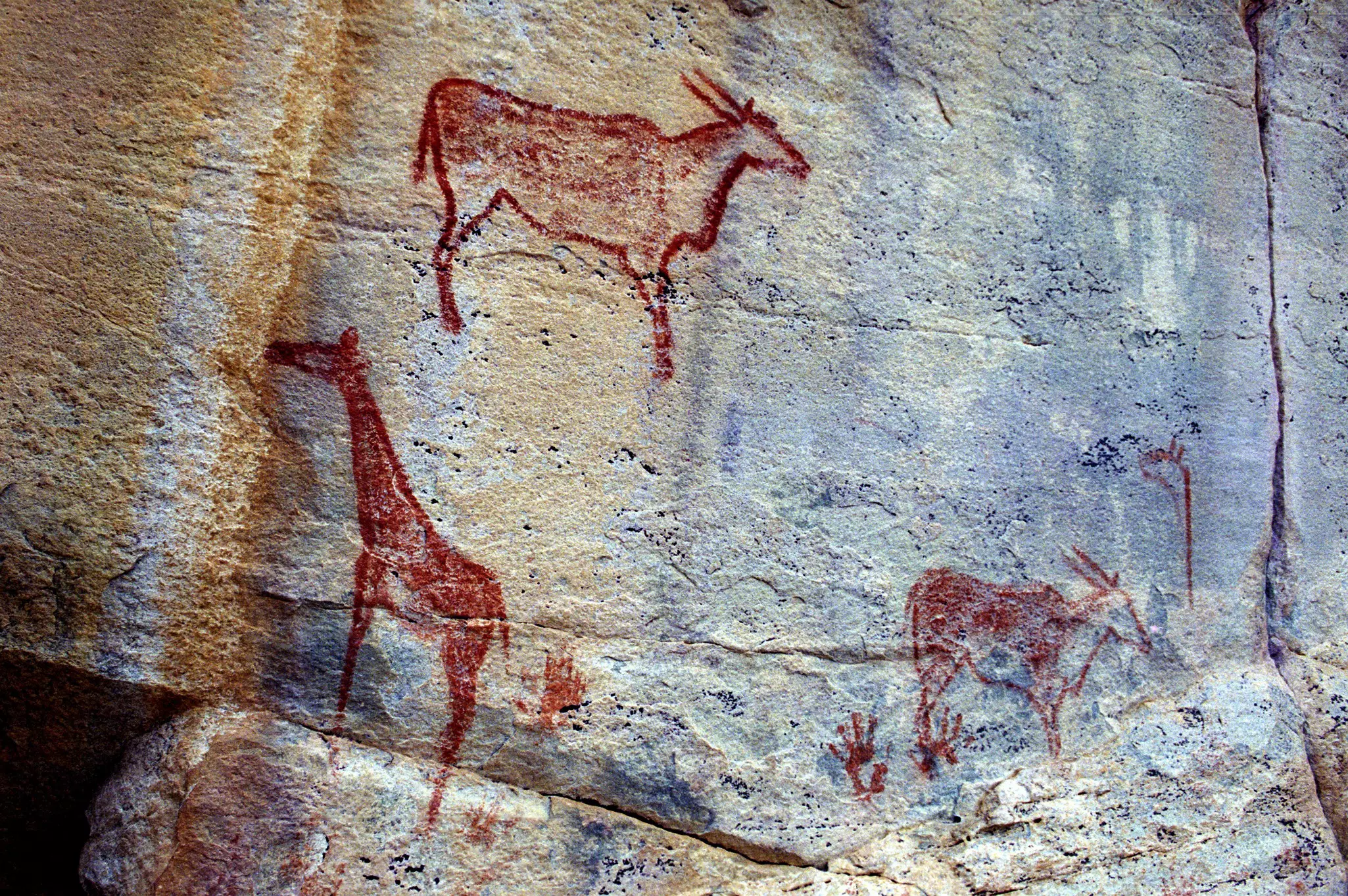 Rock art painting by San people in the Tsodilo Hills, Botswana.
