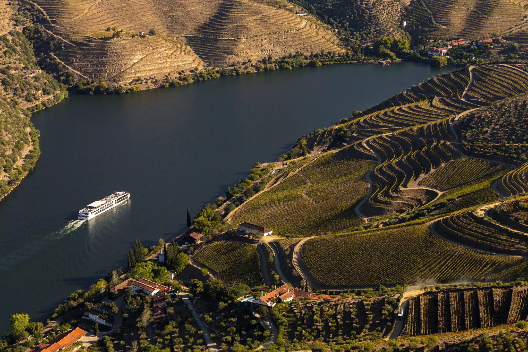 An aerial view of a white riverboat cruise ship on a river with terraced vineyards leading down to the water.