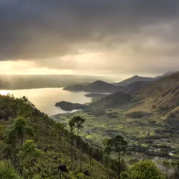 Lake Toba in North Sumatra seen from a pine-covered hillside, with sunlight on the water and farmland below the ridges.