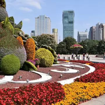 Shanghai, China. October 25, 2018. Amazing Flower displays in The Peoples Square, Shanghai. , License Type: media, Download Time: 2026-08-25T19:16:14.000Z, User: LP_NZhan, Editorial: true, purchase_order: 65050 - Digital Destinations and Articles, job: App Content, client: Lonely Planet  App, other: Nadine Zhan