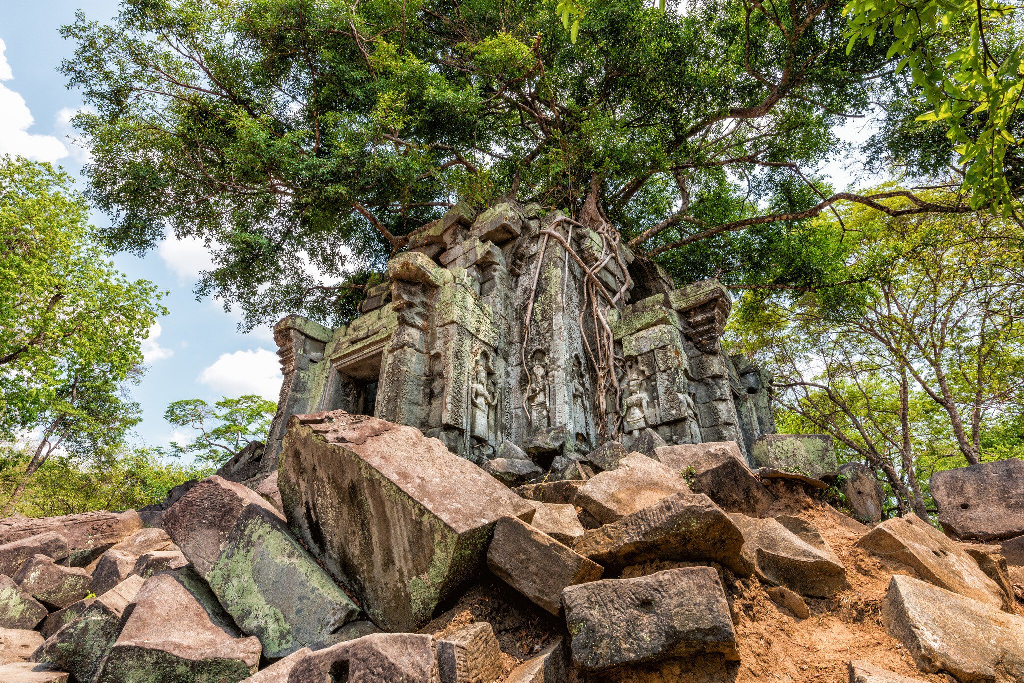 A tree growing through the temple Beng Mealea in Angkor Wat.