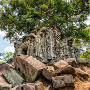 A tree growing through the temple Beng Mealea in Angkor Wat.
