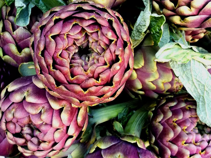 A pile of purple and green Roman artichokes. 