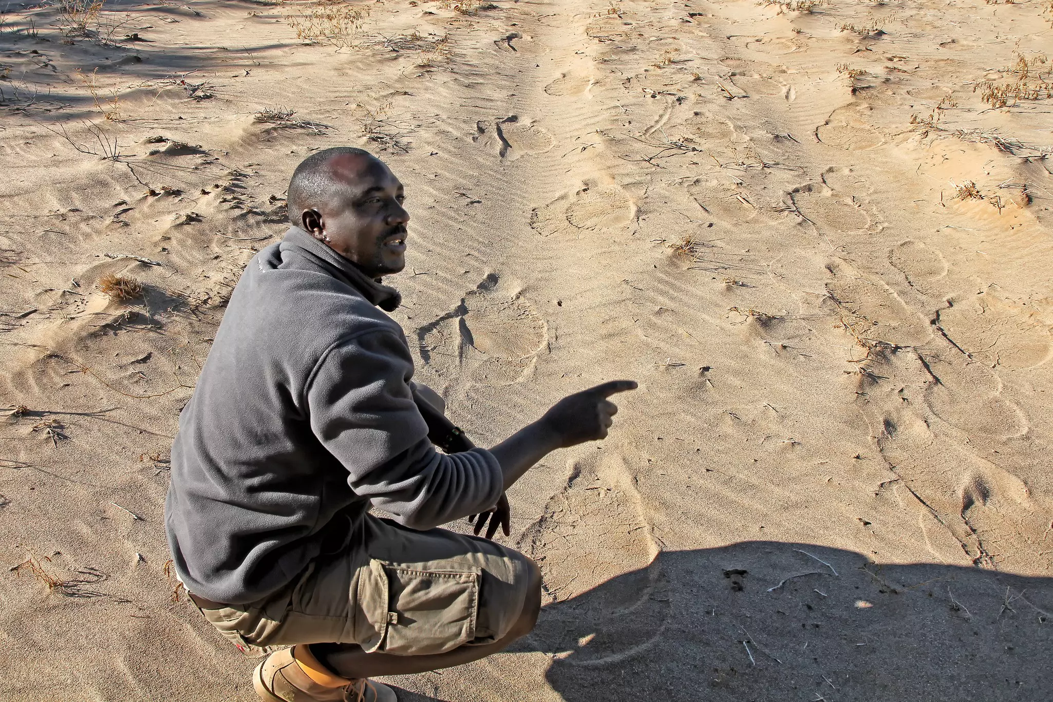 DAMARALAND, NAMIBIA. Damaraland Camp guide and tracker finds elephant tracks in the sand that will lead the tourists to the herd of desert adapted elephants they are looking for.