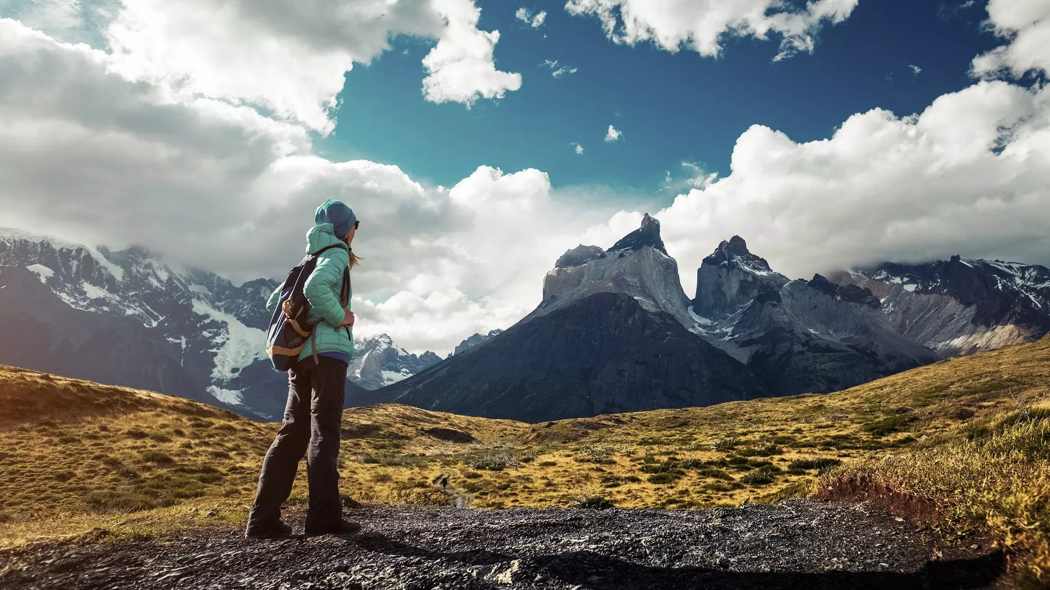 Trekking in Torres del Paine National Park, Chile. Dudarev Mikhail/Shutterstock