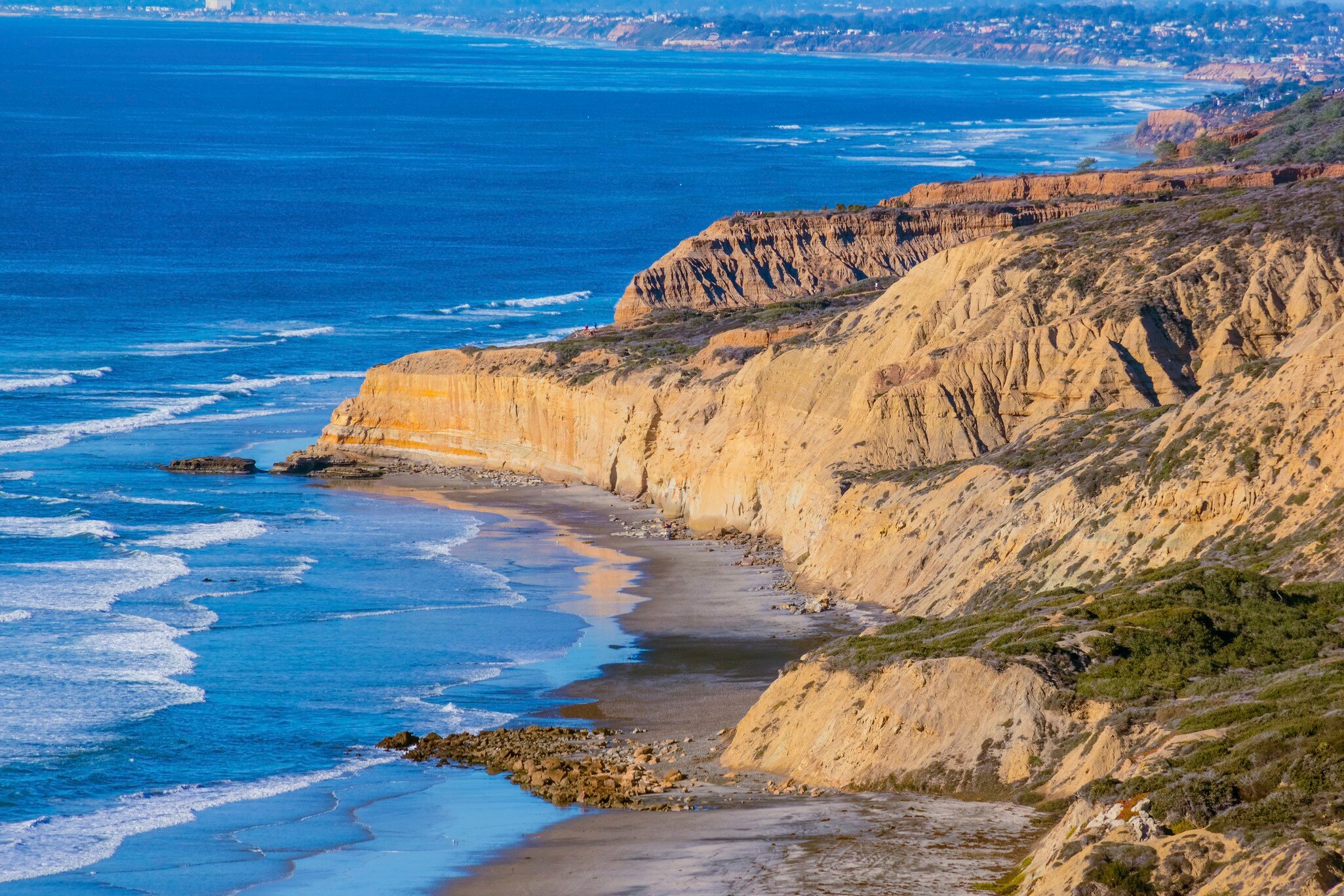 Torrey Pines State Natural Reserve, Pacific Ocean, CA,(P)