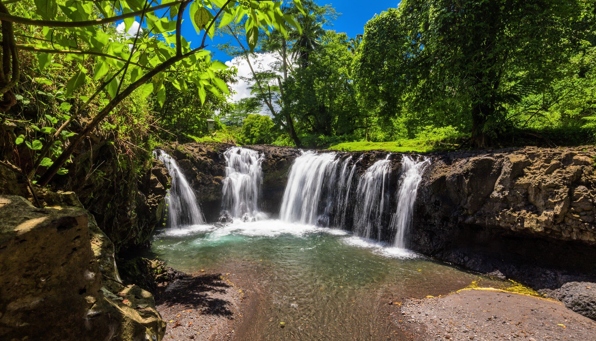 shutterstock_686534524.jpg
