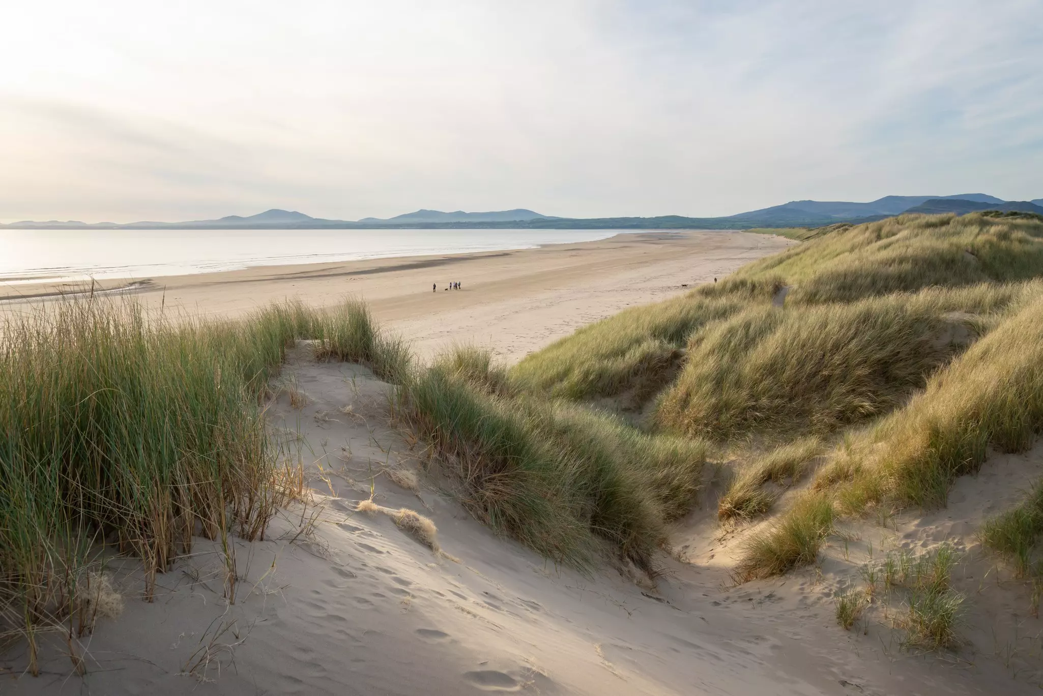 Grass-topped sand dunes with two people walking in the distance