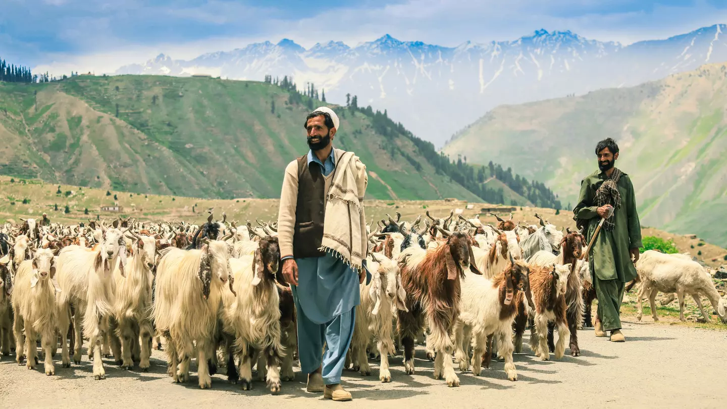 Expect a warm welcome from locals as you travel around Pakistan © Dave Primov / Shutterstock