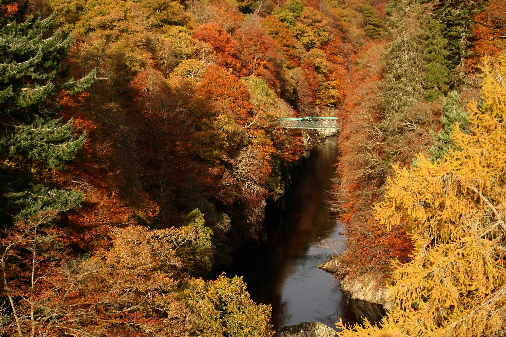Autumnal aspect of forest near the Faskally bridge, License Type: media, Download Time: 2025-09-15T16:02:57.000Z, User: rhylton_redventures, Editorial: false, purchase_order: 65050 - Digital Destinations and Articles, job: Lonely Planet, client: socials, other: Rhianydd Hylton