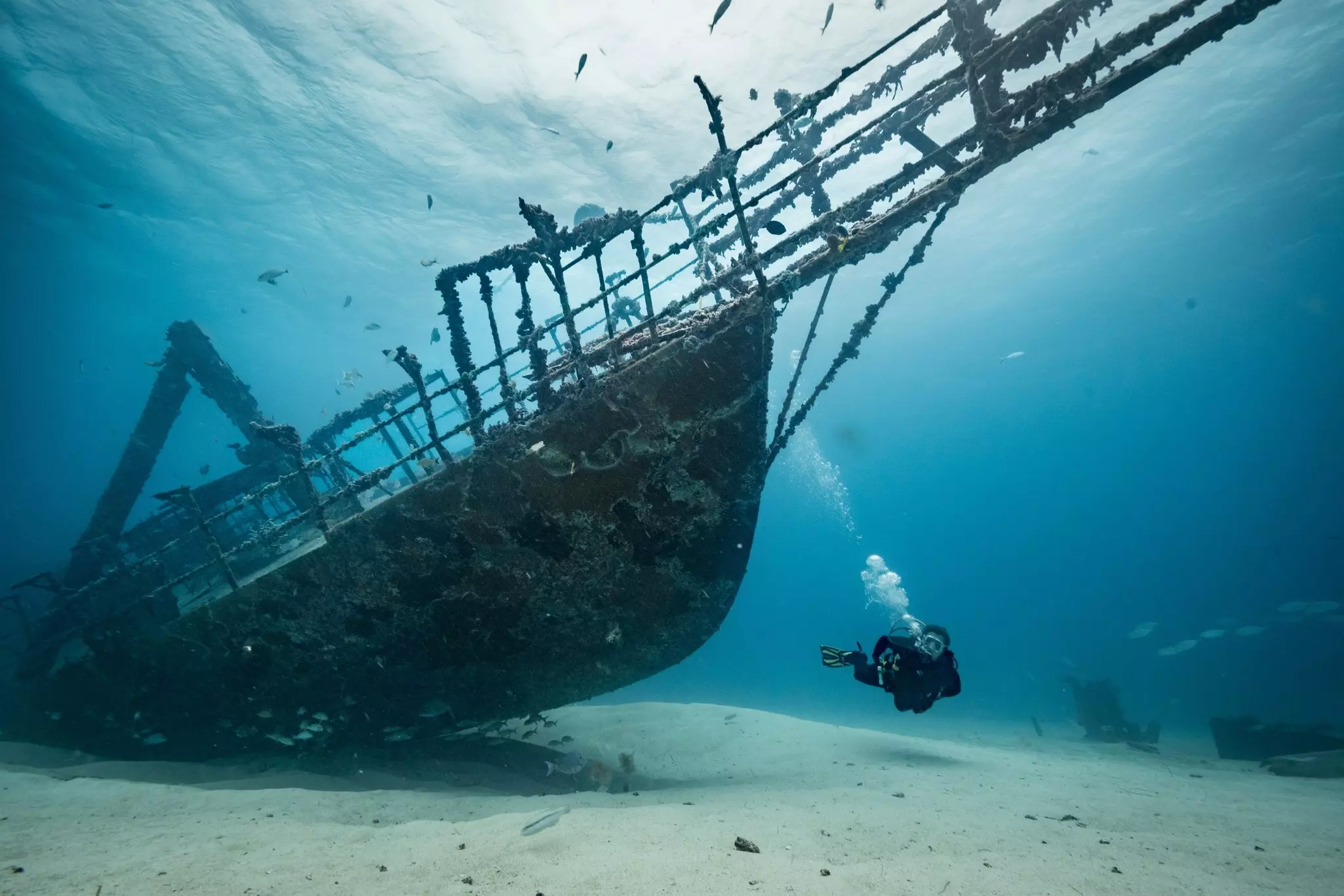 A person in scuba gear swims by a shipwreck on an ocean floor