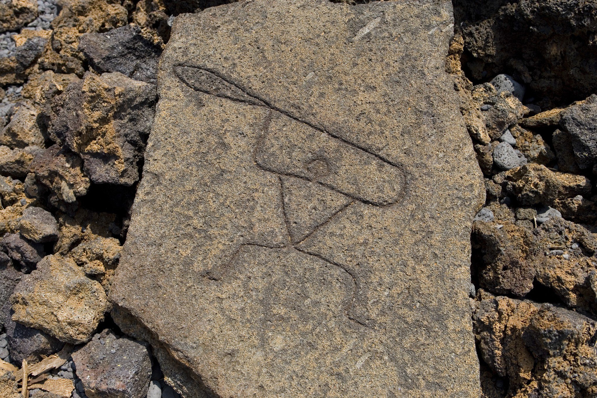 Puako Petroglyph Preserve, South Kohala.