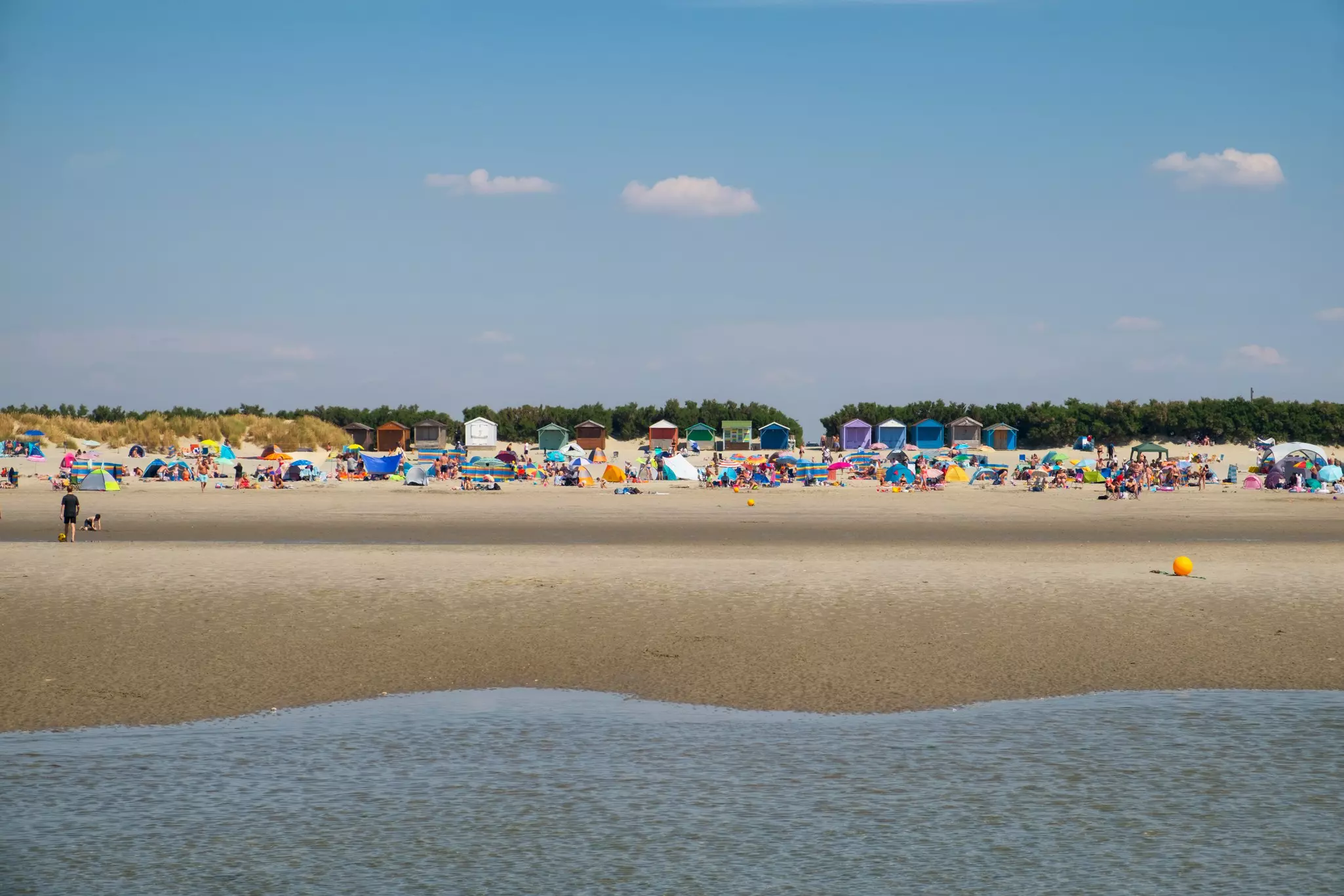 People fill a sandy beach and sunbathe on a sunny day.