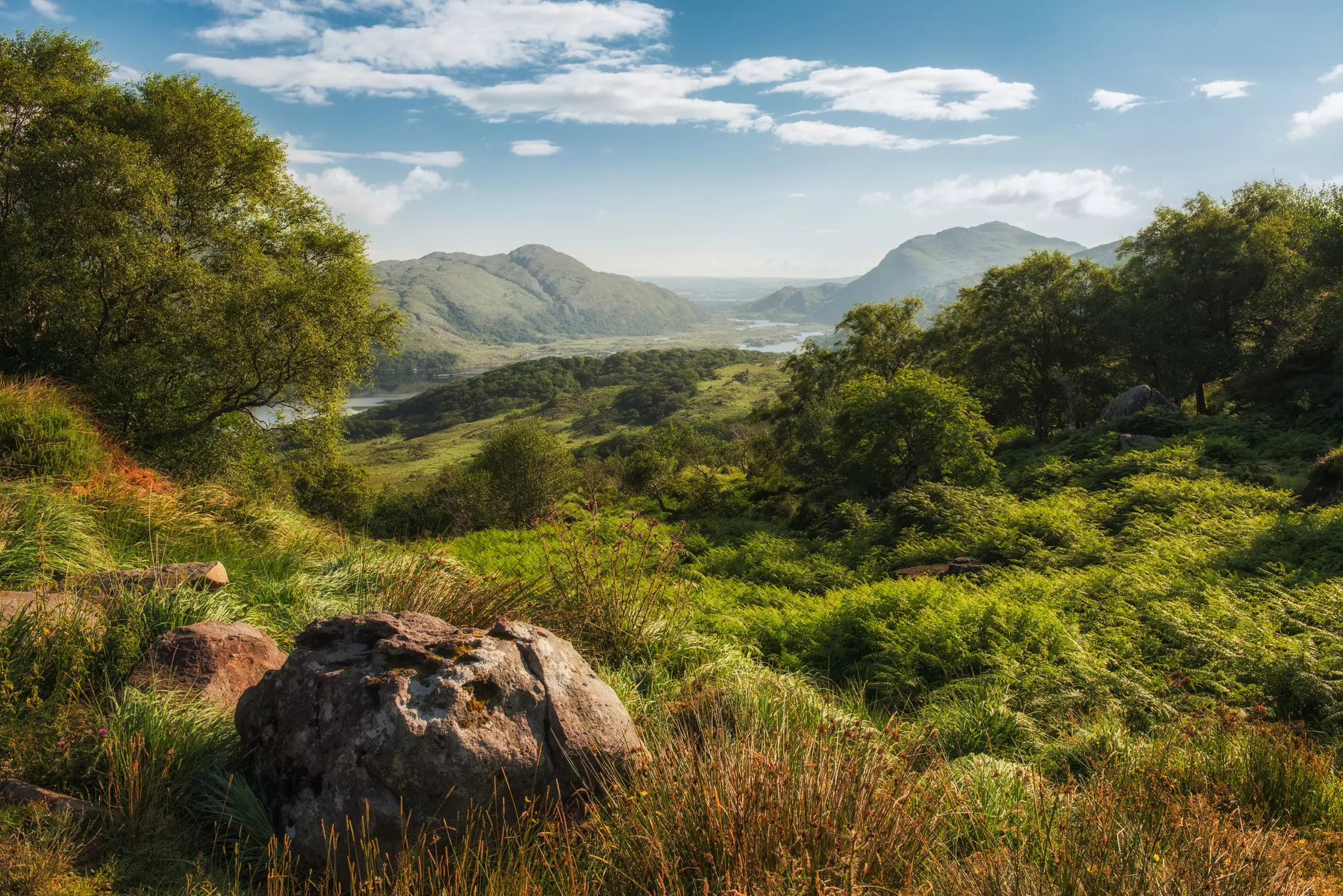 Rolling hills covered in green foliage give way to a lake backed by mountains in a national park.