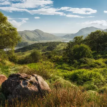 Rolling hills covered in green foliage give way to a lake backed by mountains in a national park.