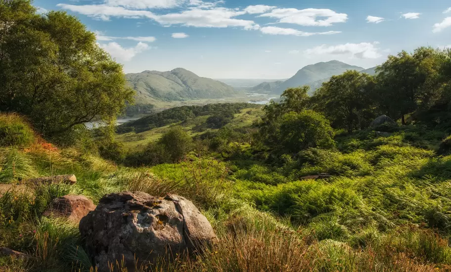 Rolling hills covered in green foliage give way to a lake backed by mountains in a national park.