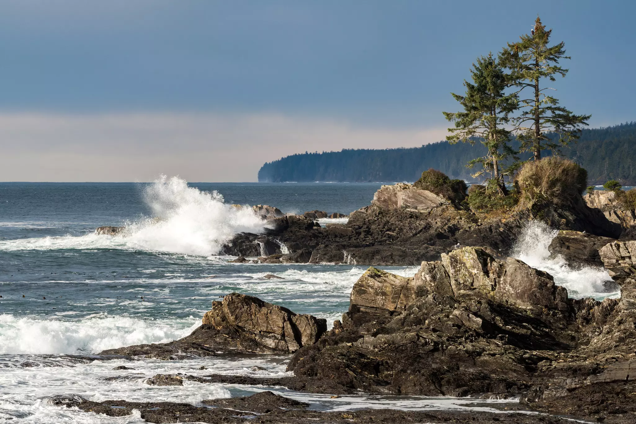 Watching the wild winter weather on Vancouver Island’s coast has become popular with visitors © Dave Hutchison Photography / Getty Images