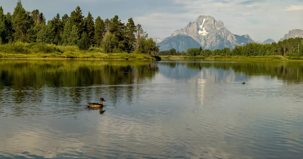 The 10 best things to do in Grand Teton National Park - Lonely Planet