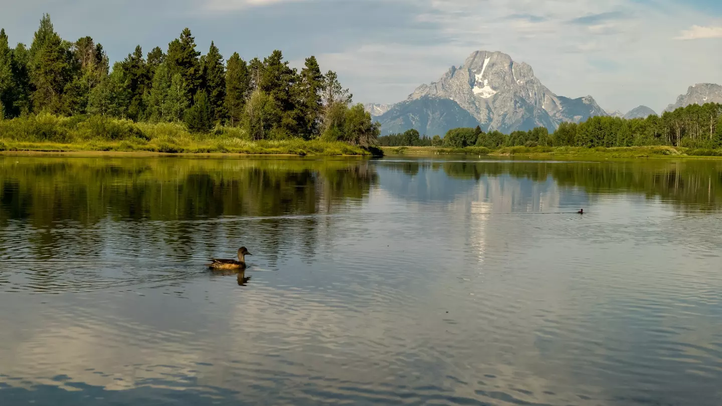 Grand Teton National Park