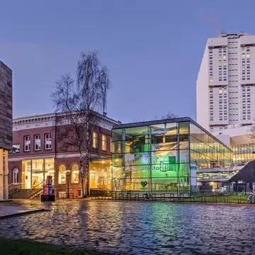 Rain-slick cobbles leading to a glowing glass pavilion and brick villa, a crow silhouette sculpture and a white tower