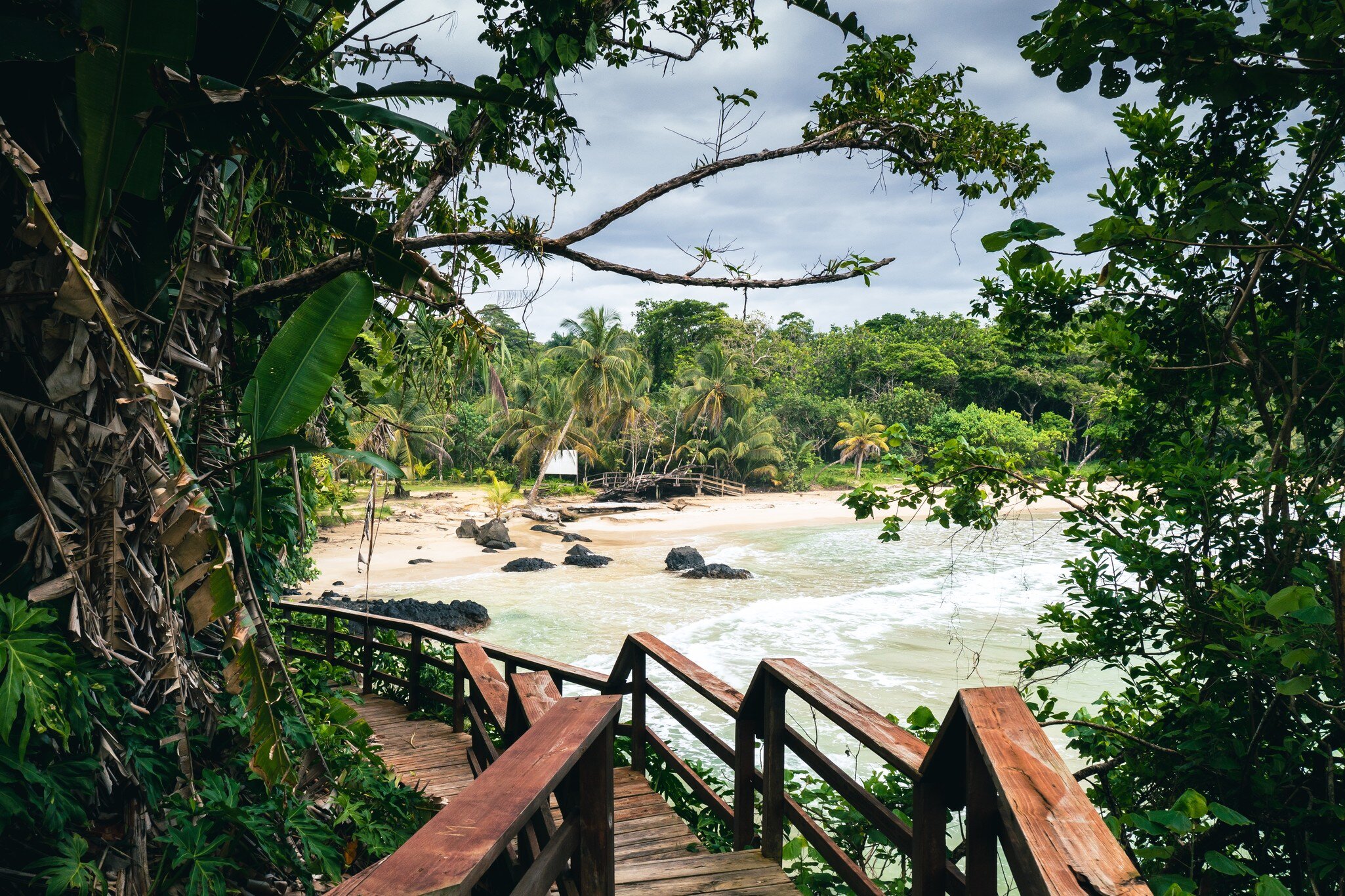 A wooden boardwalk leading down to a golden beach surrounded by forest