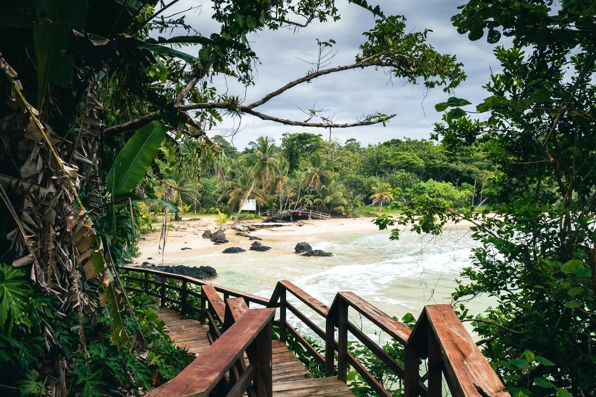A wooden boardwalk leading down to a golden beach surrounded by forest
