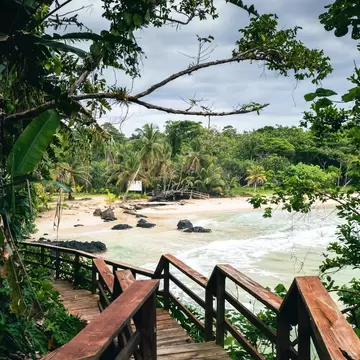 A wooden boardwalk leading down to a golden beach surrounded by forest