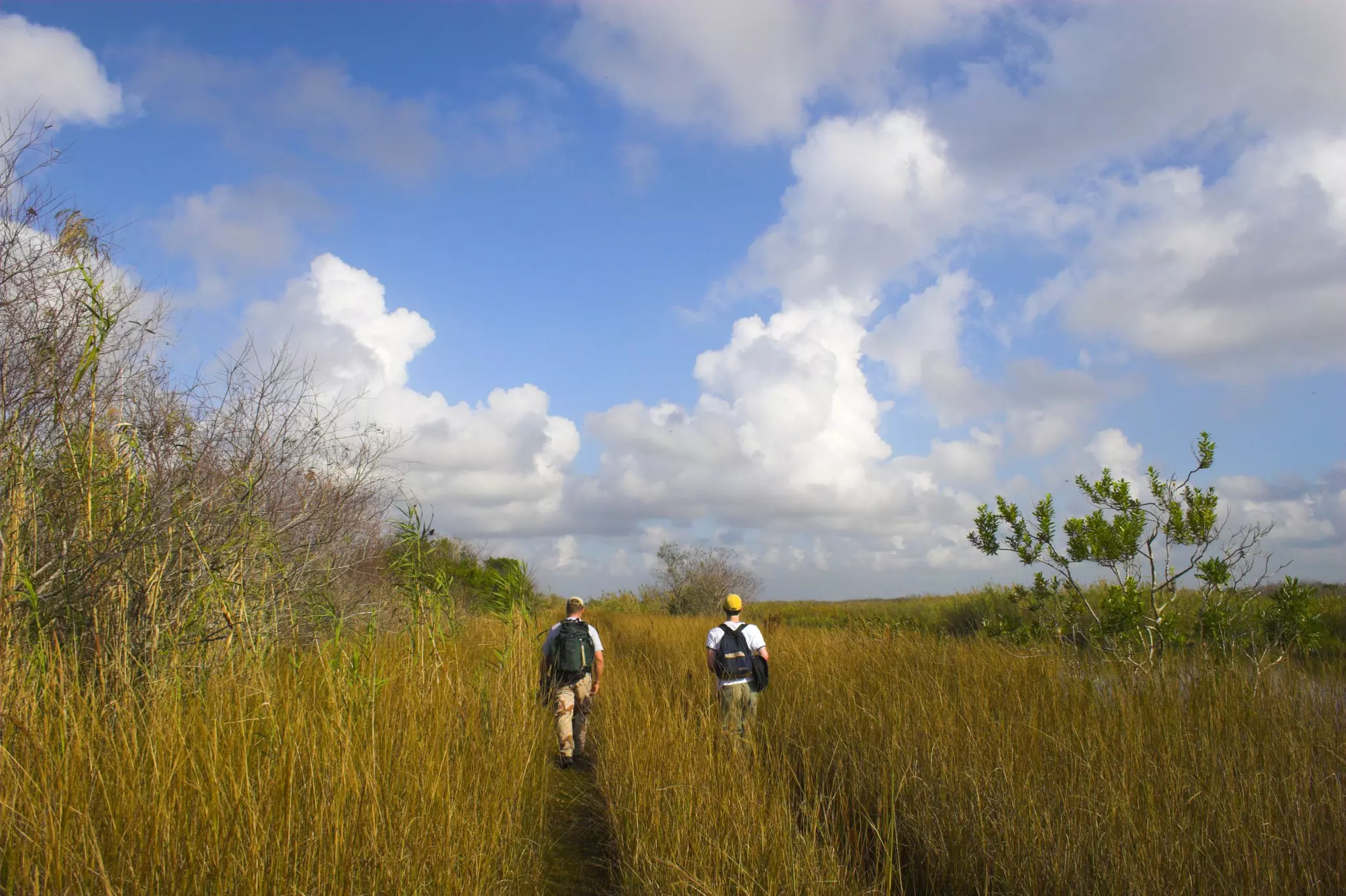 Be sure to take sunscreen and insect repellant when hiking in the Everglades © George Burba / Shutterstock
