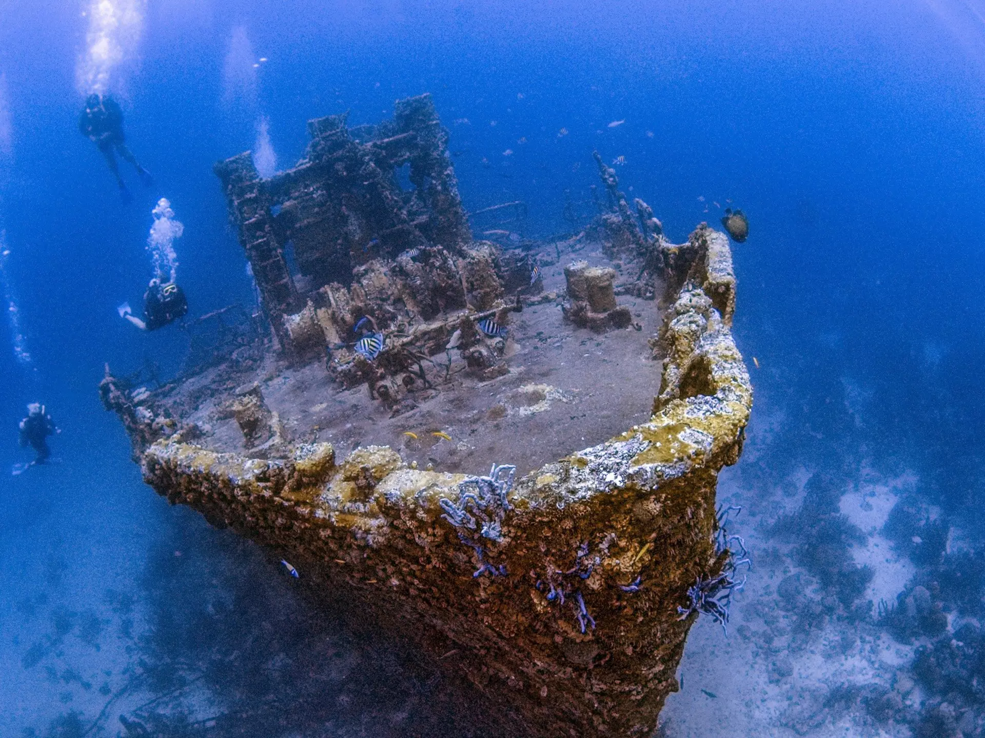 The ”ABC islands” of Aruba, Bonaire and Curaçao offer some of the best diving opportunities in the Caribbean. Vito Palmisano/Getty Images