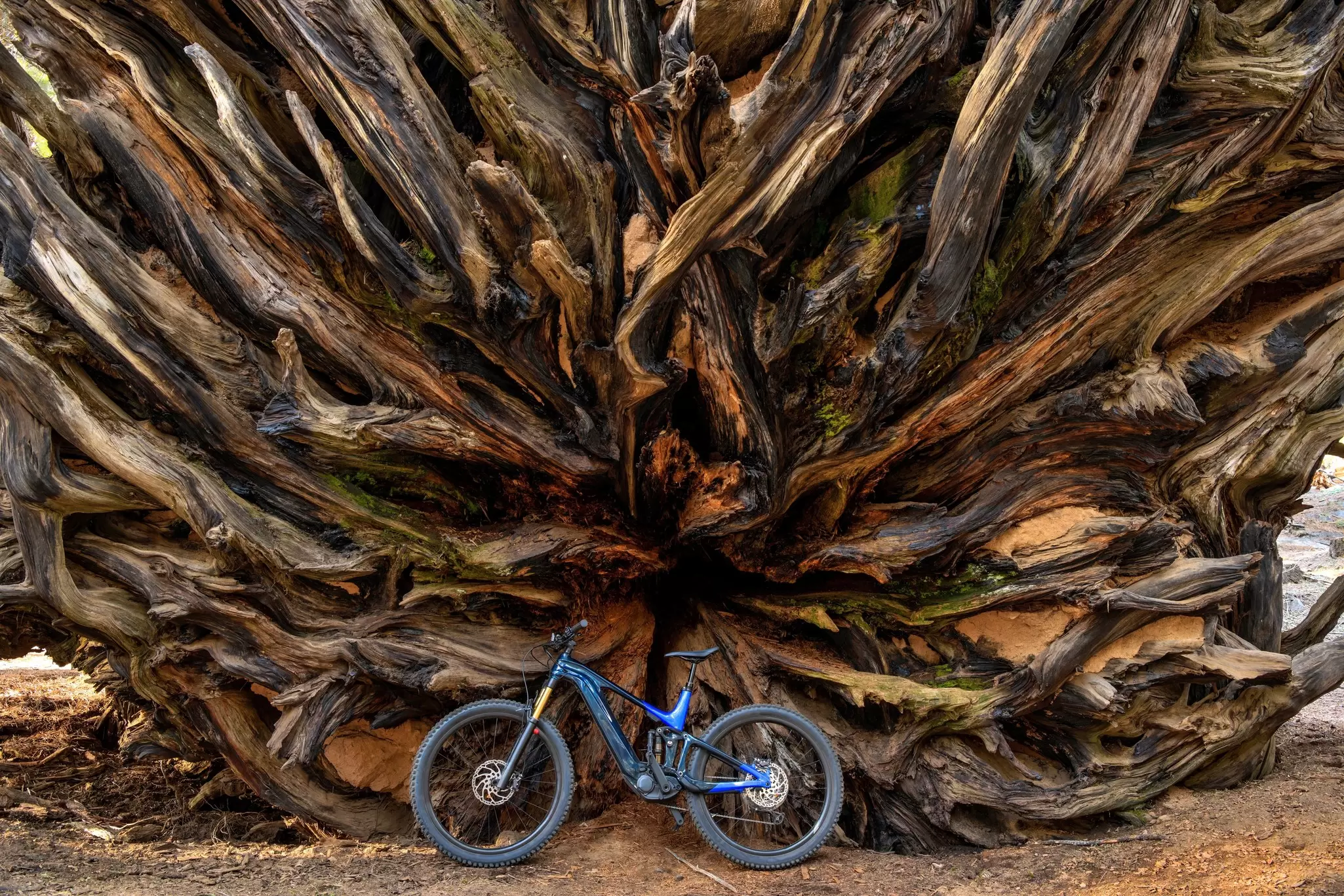 An electric-bike standing against a huge root of a fallen Giant Sequoia tree in Sequoia and Kings Canyon National Parks, California.