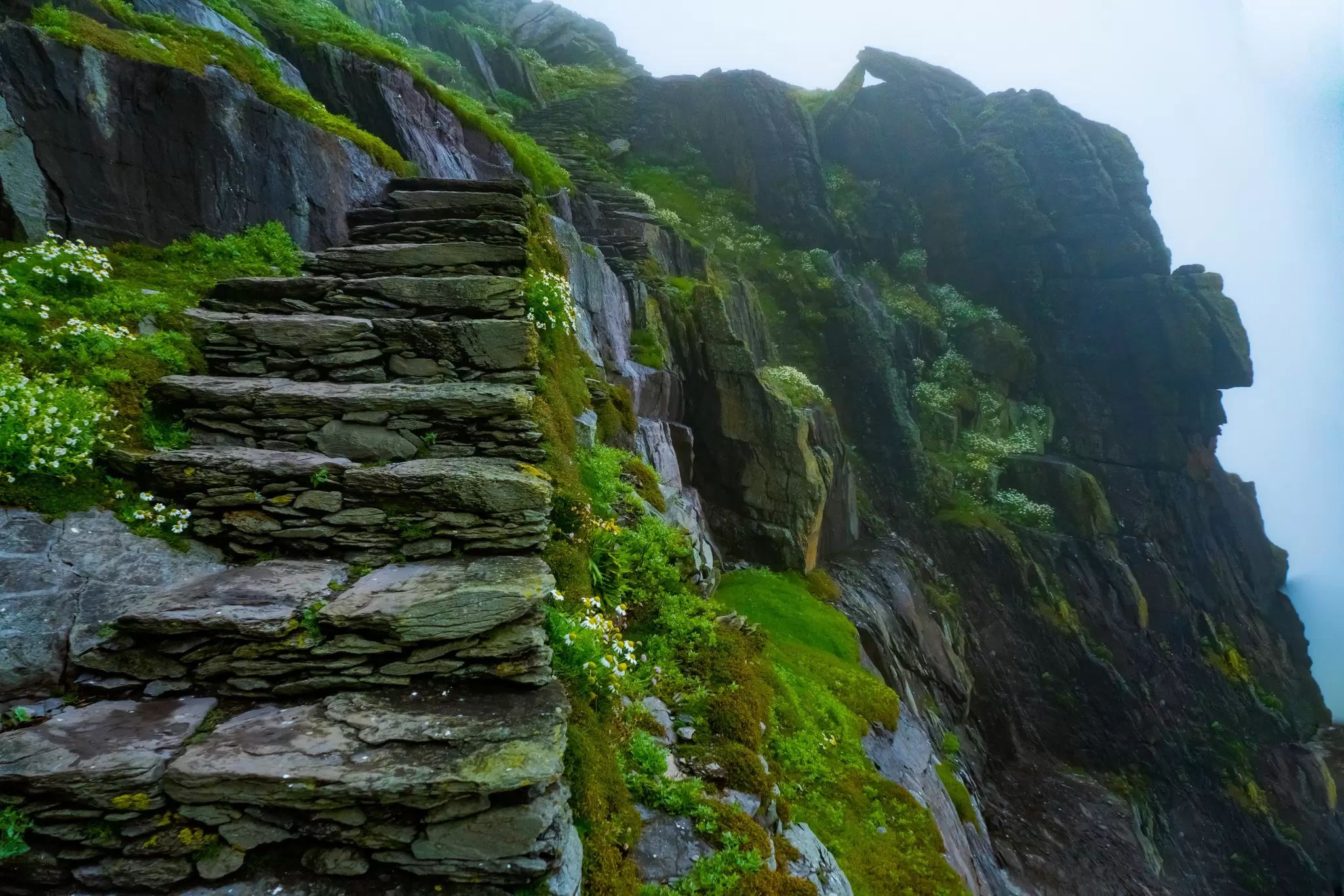 The Skellig Michael stairs on a foggy day off the coast of Kerry covered in lush green moss.