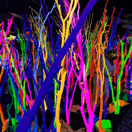 Neon branches and sticks stand like tree trunks filling a room