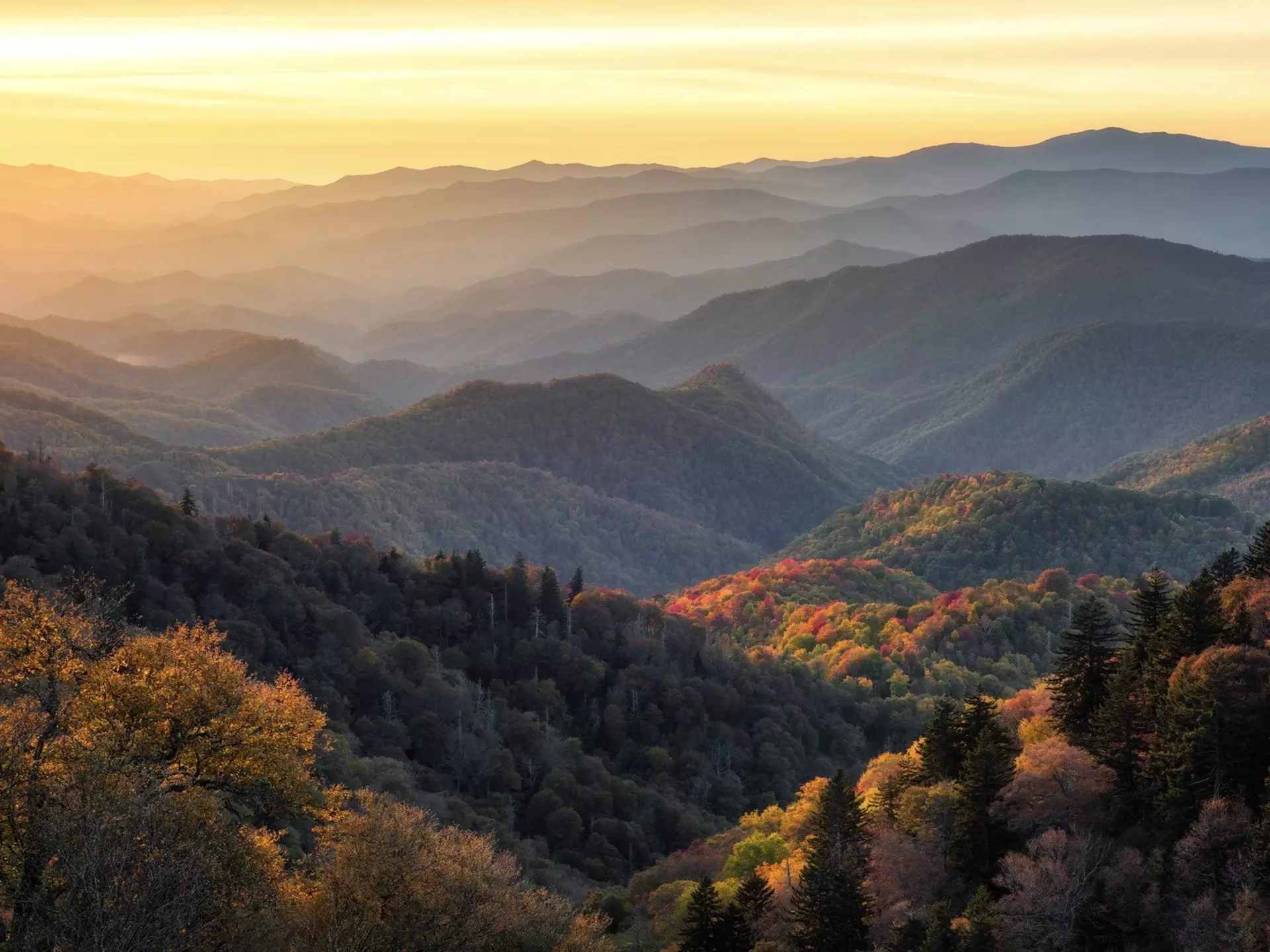 A sunset view from the Blue Ridge Parkway, North Carolina. anthony heflin/Shutterstock