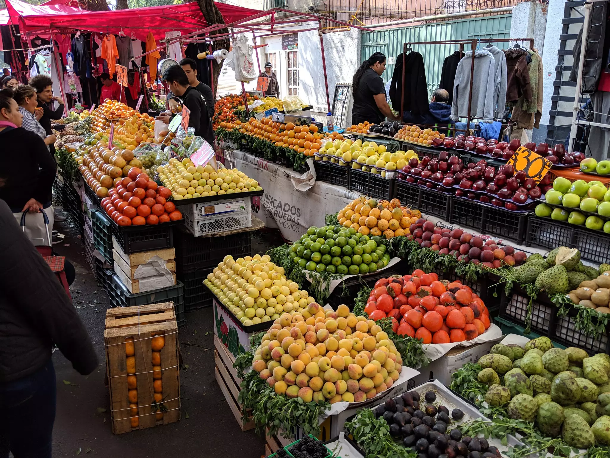 A busy market stall loaded with fresh fruit in neat, colorful piles.