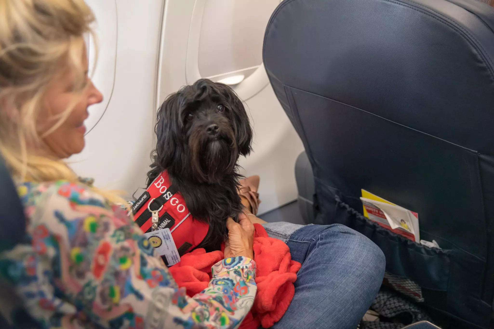 A woman traveling on a plane with a support dogon her lap