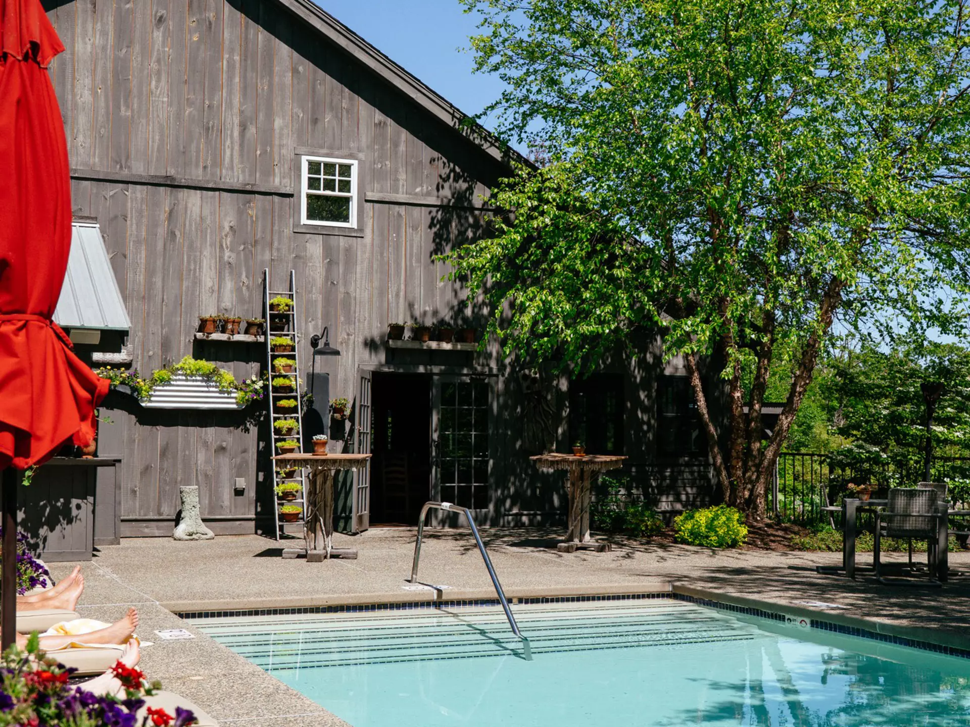 The adults-only pool at Hidden Pond resort in Kennebunkport, Maine. Rectangular pool, adults on lounge chairs, plants against a classic Maine barn-type building. 