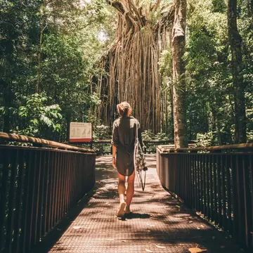 Woman walking toward the Curtain Fig Tree near Yungaburra in the Atherton Tablelands, Australia.