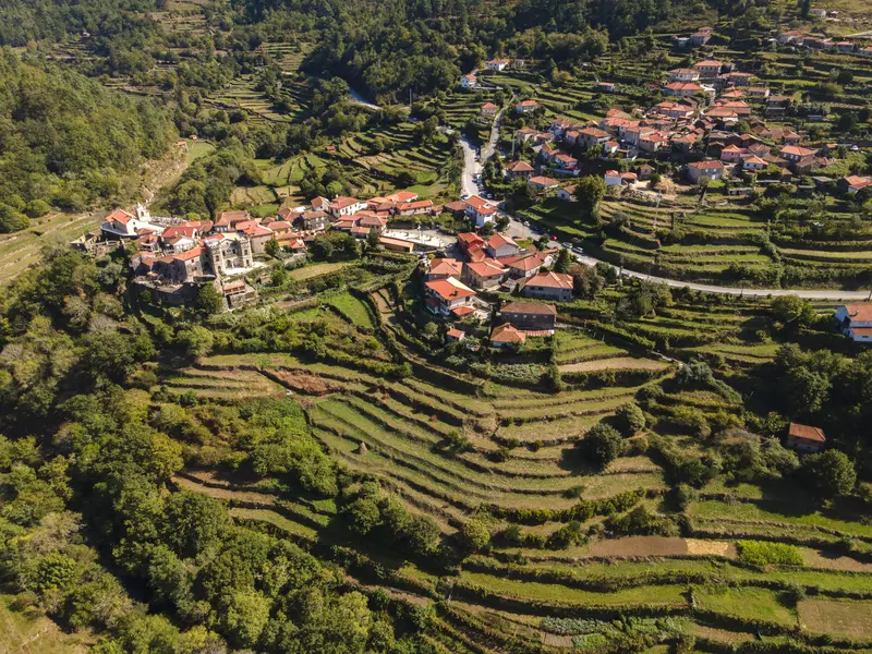 A mountain slope layered with terraces