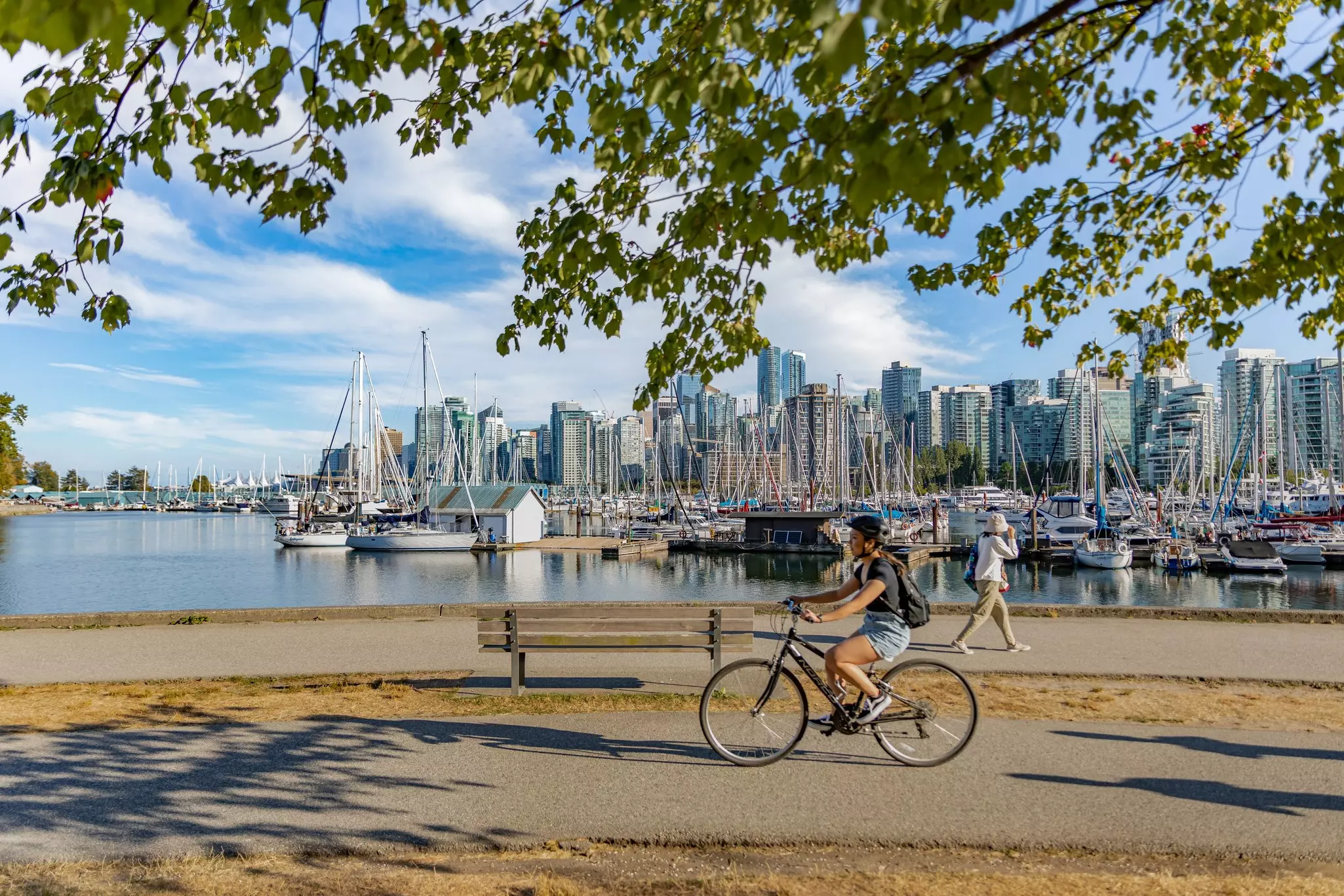 Cyclist in Vancouver