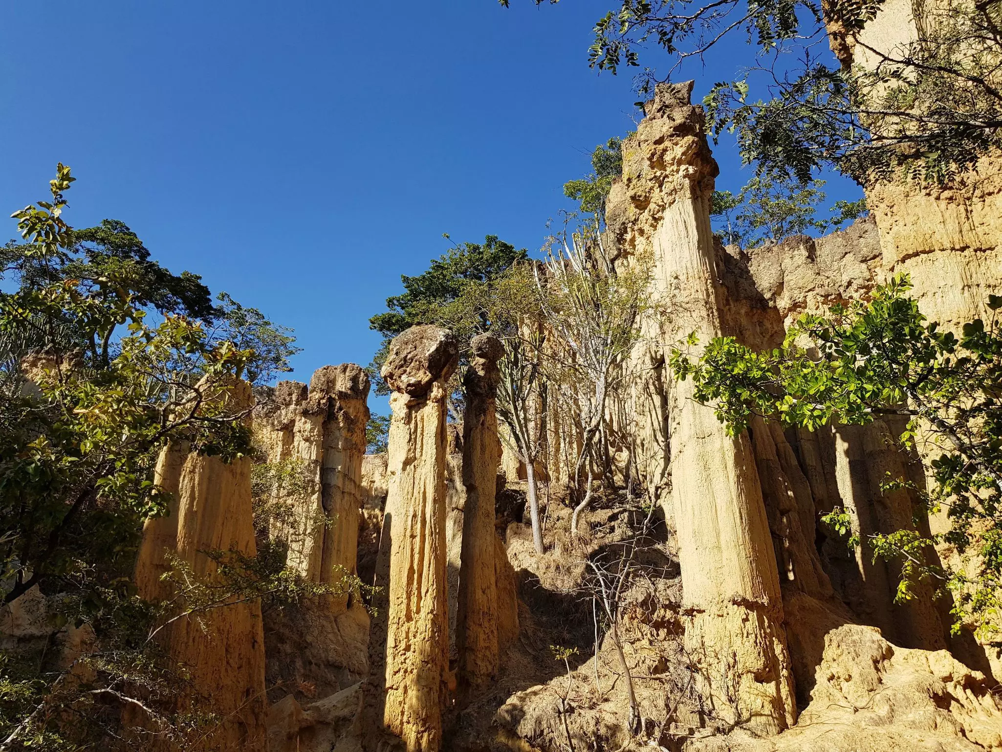 Free-standing pillars of stone that have eroded from nearby cliffs