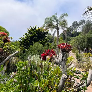 Encinitas Ca 7-21-2024   Views of the different flowers, plants and walking paths at the San Diego Botanical Garden, License Type: media, Download Time: 2026-08-09T14:00:18.000Z, User: LP_NZhan, Editorial: true, purchase_order: 65050 - Digital Destinations and Articles, job: App Content, client: Lonely P lanet App, other: Nadine Zhan