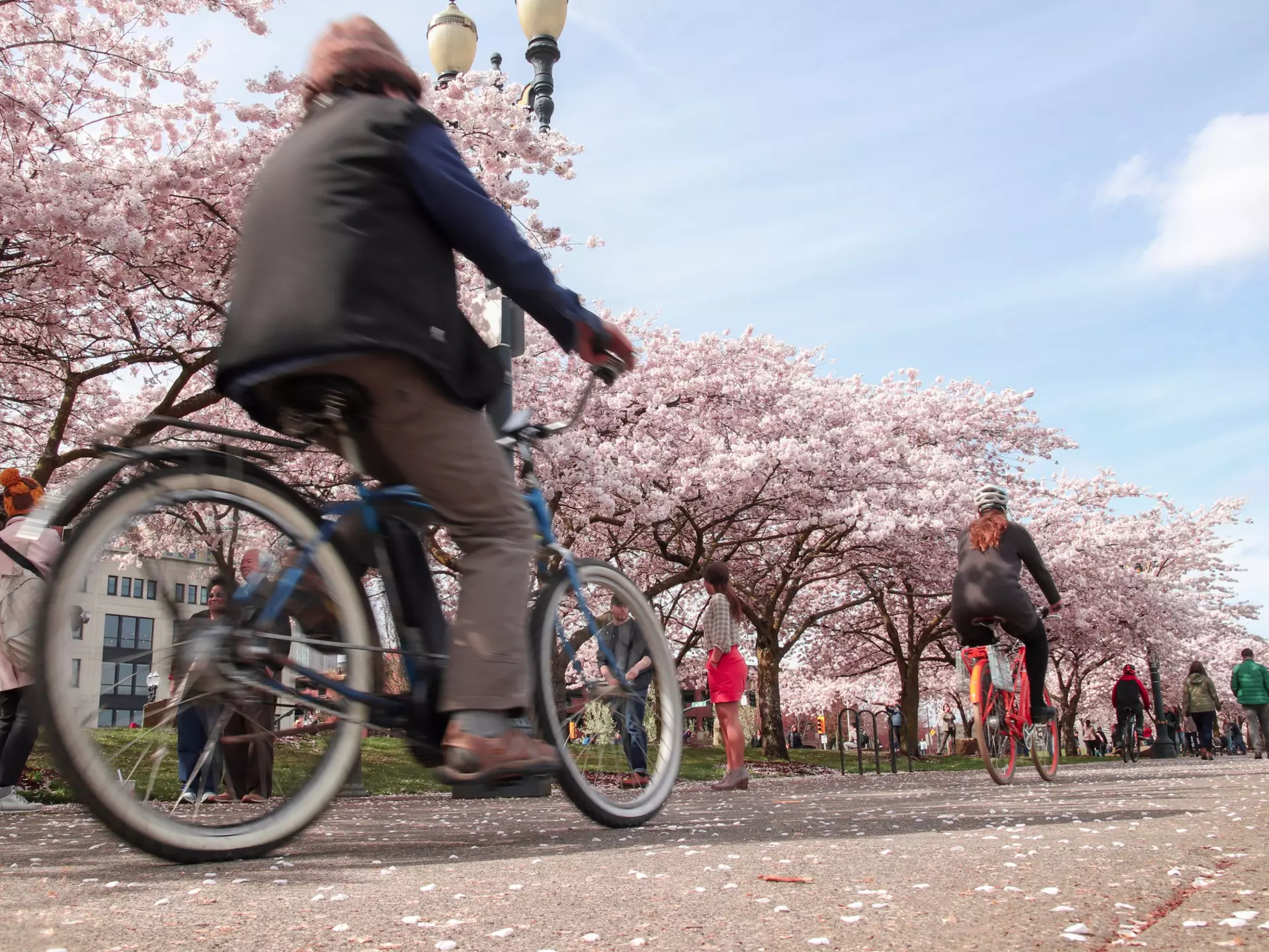 Social cycling events in Portland are kind to the environment as well as your wallet. EchoVisuals/Shutterstock
