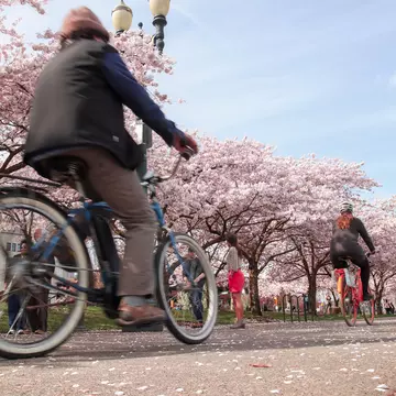 Social cycling events in Portland are kind to the environment as well as your wallet. EchoVisuals/Shutterstock