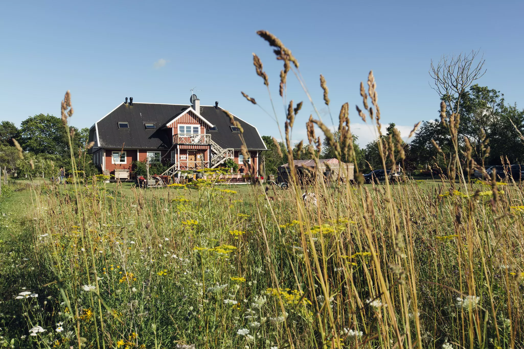 A beautiful farmhouse sits in the background of a lush meadow on a sunny day.
