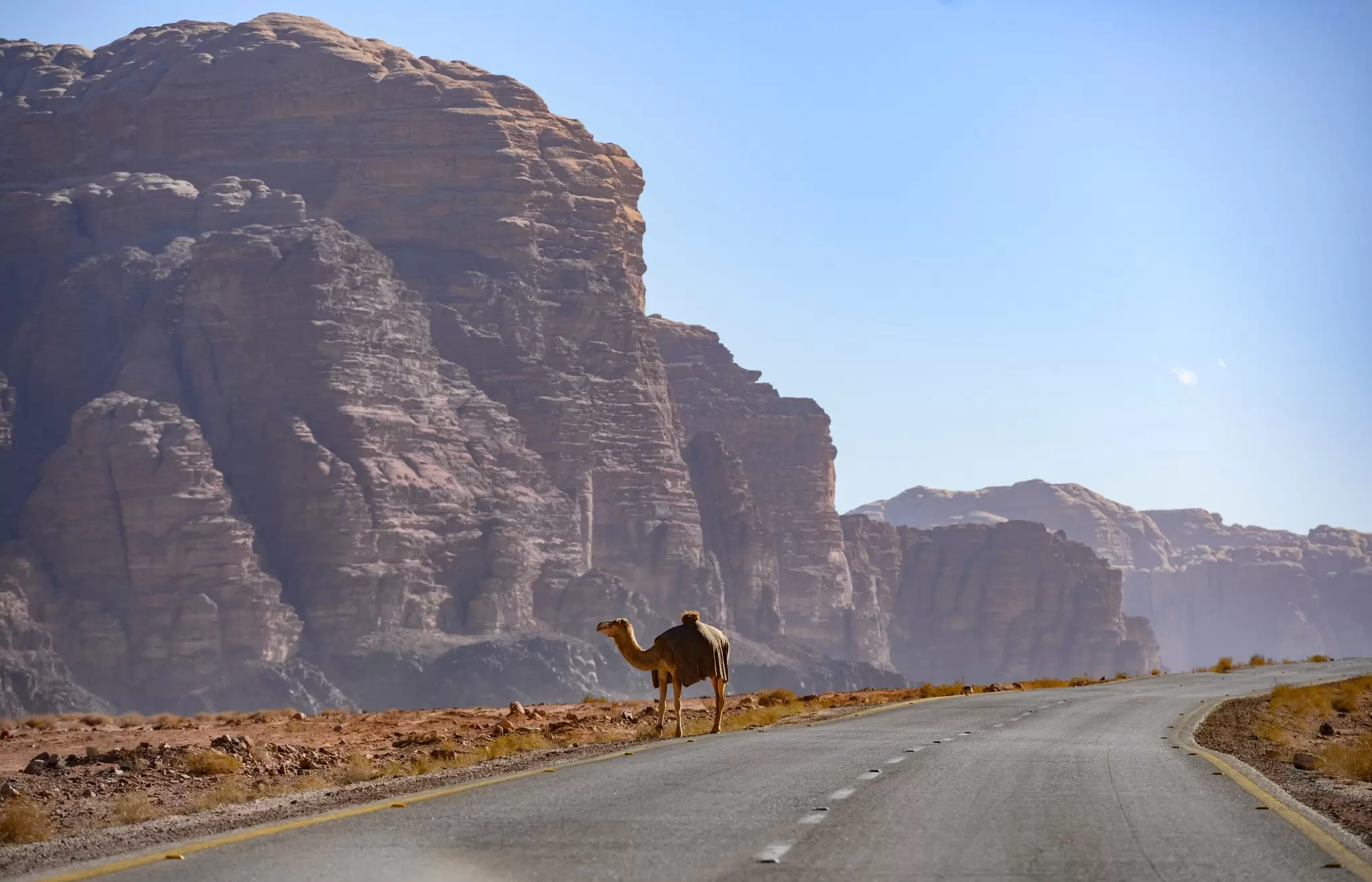 Here’s how to make the most of your desert adventure at Wadi Rum. travelwild/Shutterstock