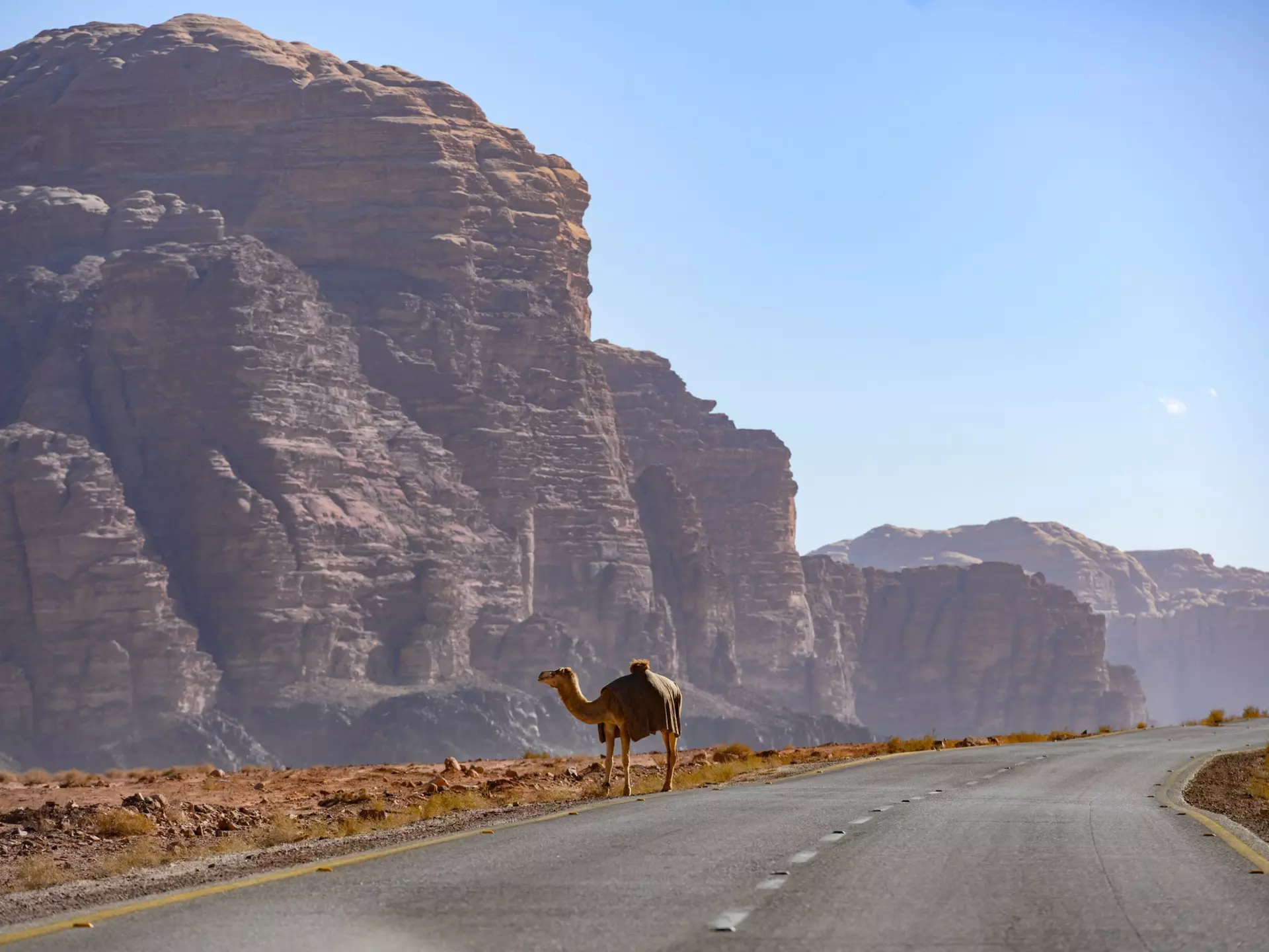 Here’s how to make the most of your desert adventure at Wadi Rum. travelwild/Shutterstock