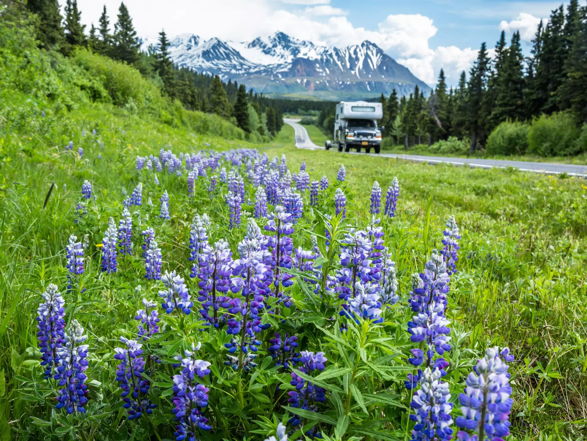 A pickup truck with a camper on top rolls down the Richardson Highway in the Delta Mountains of remote Alaska. RVers out camping in spring time., License Type: media, Download Time: 2025-12-03T20:07:02.000Z, User: mvm_lonelyplanet, Editorial: false, purchase_order: 56530 - Guidebooks, job: Alaska 15, client: Global Publishing-WIP, other: Virginia Moreno